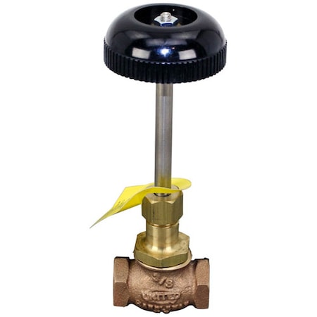 Cleveland Steam Valve 22196